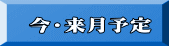 今・来月予定